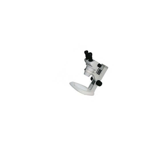 ʽ΢ ZOOM-590 Ӧѧ